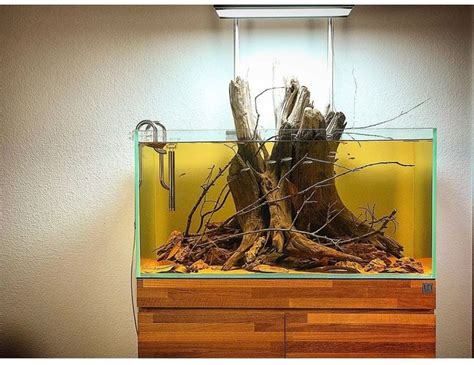 Nice Wood Blackwater Tank Setup | Tropical fish aquarium, Nature aquarium, Aquascape aquarium