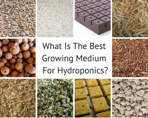 What Is The Best Growing Medium For Hydroponics? - Smart Garden Guide