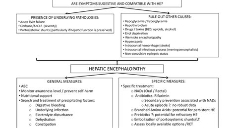 Hepatic Encephalopathy Scoring Algorithm