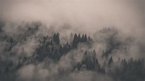 Fog Landscape Wallpapers - Top Free Fog Landscape Backgrounds ...