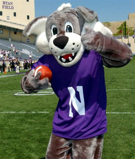 Download High Quality northwestern university logo mascot Transparent PNG Images - Art Prim clip ...