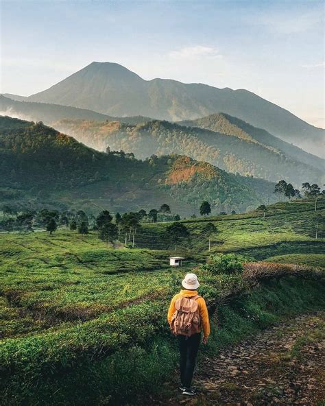 Keindahan Jalan Menuju Telaga Saat Puncak Bogor Image From @hariadi _ | Pemandangan, Pariwisata ...