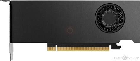 NVIDIA RTX 4000 SFF Ada Generation Specs | TechPowerUp GPU Database