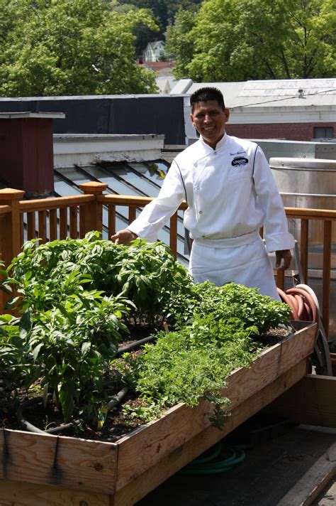 Meet the Chef: David Martinez | New City, NY Patch