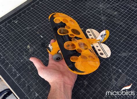 Micro lazy bee rc gliders radio control dlg micro gliders airplane kits balsa wood – Artofit