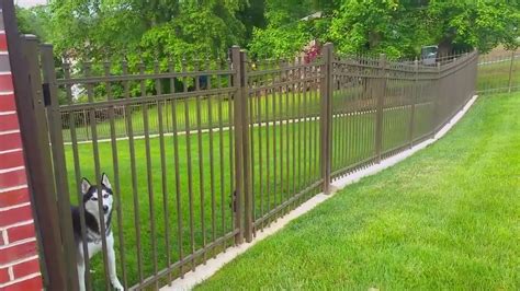 35 Amazing Backyard Fence for Dogs - Home, Family, Style and Art Ideas