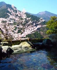 Relax and unwind in an onsen