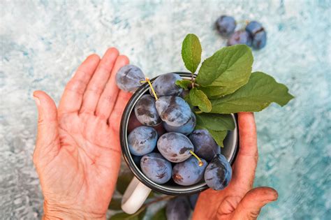 Food for Seniors — Sacramento Food Bank & Family Services