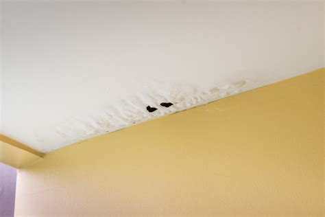 How To Remove And Replace Drywall Ceiling | Homeminimalisite.com