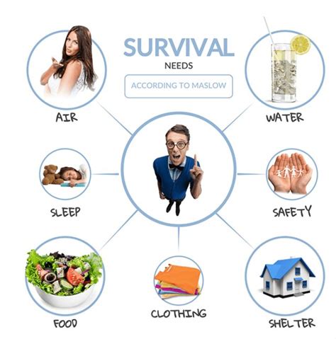 7 Basic Human Needs According To Maslow - Survival Report | Survival, Survival essentials ...