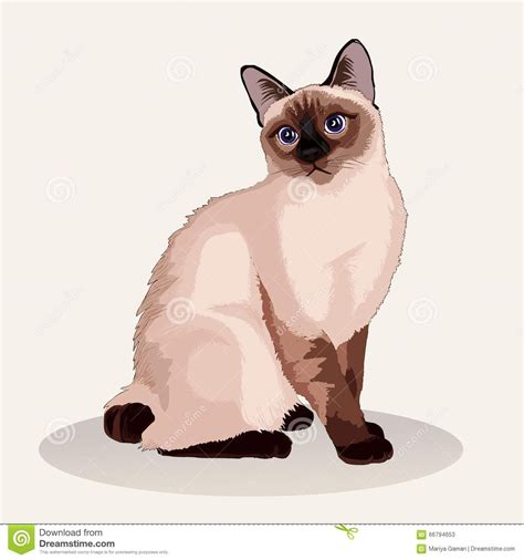 Compartir más de 77 gato siames dibujo - Billwildforcongress