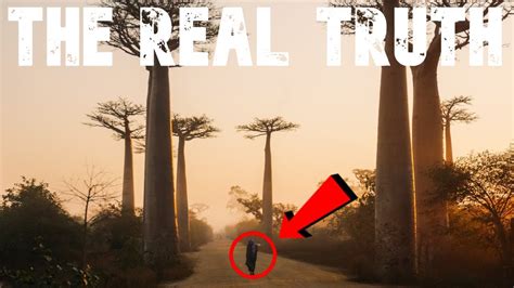 The truth about avenue of the baobabs - YouTube