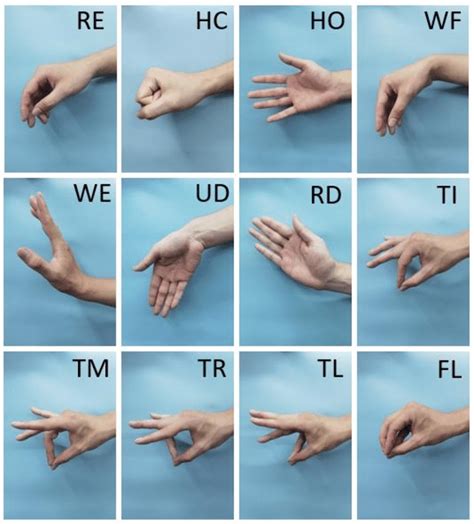 Hand movements. Three types of gestures were selected. Basic hand... | Download Scientific Diagram