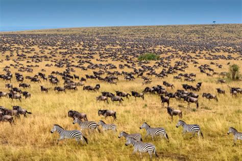 Kenya – Seven Wonders | 7 Wonders of the World