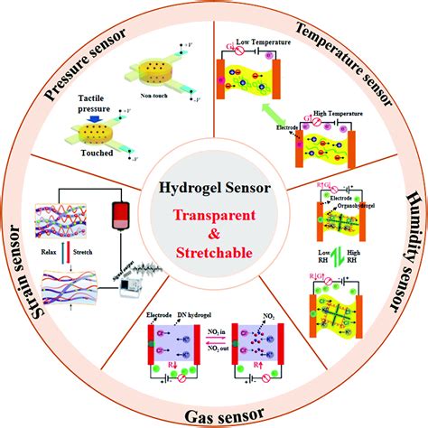 Transparent stretchable hydrogel sensors: materials, design and applications - Journal of ...