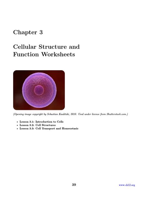 Different Between Plant Cell and Animal Cell - Worksheets Library