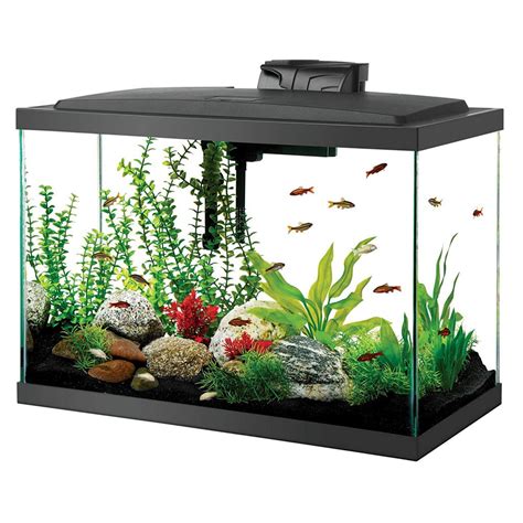 Best 20 Gallon Fish Tank and Aquarium Kits {Reveiws & Guide 2019}