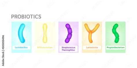 Probiotics lactic acid bacterium in milk, yogurt. Label Bifidobacterium ...