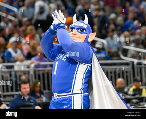 Duke mascot 2023 hi-res stock photography and images - Alamy