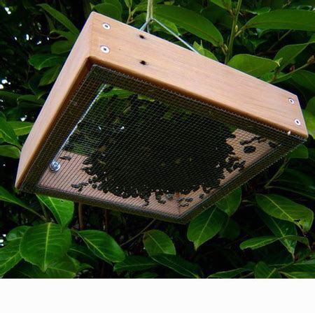 Trendy Tray Style Bird Feeders – Green Design Blog