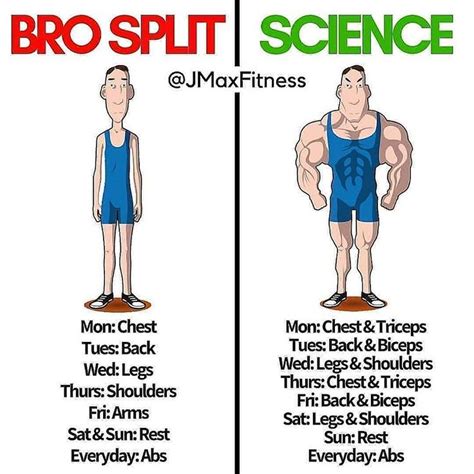 BRO SPLIT vs SCIENCE: The Ultimate Workout Split