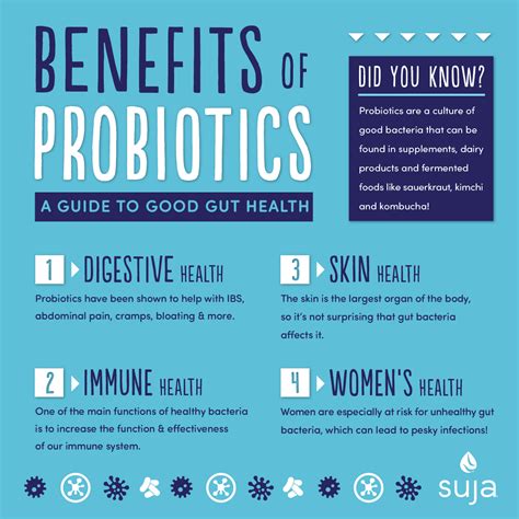 Benefits of Probiotics: A Guide to Gut Health | Suja Juice | Probiotics ...