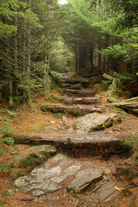 Mt. Mitchell - North Carolina's First State Park | Blue Ridge