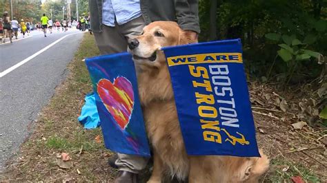 Boston Marathon dog, Spencer, dies after bouts with cancer