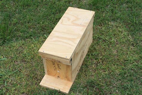 How to Make a Nuc Box for Bees in 6 Easy Steps | Backyard bee, Bee ...