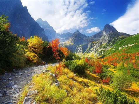 Mountain path - sunny autumn day