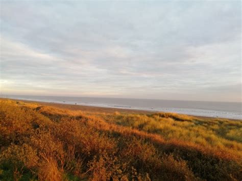 Ruff Guide to the Lincolnshire Coast: Guest Blog