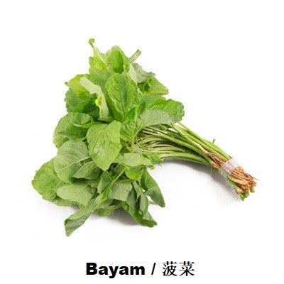 Leafy (Sayur-sayuran berdaun) - PCF Fresh Trading