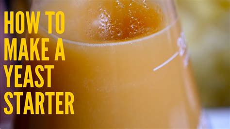 How To Make a Yeast Starter for Beer - Brew Insight