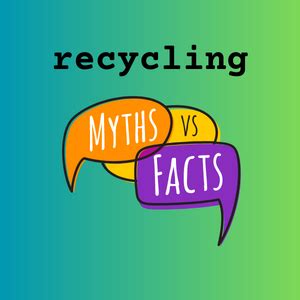 Recycling myths | Hamptons Group