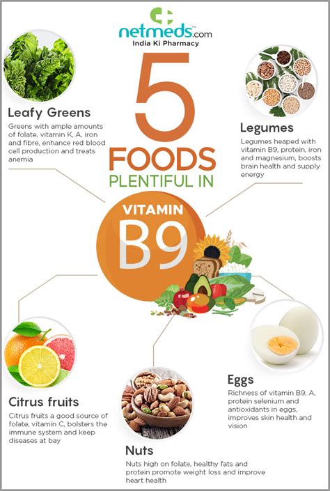 5 Foods Incredibly Rich In Vitamin B9 For Overall Health-Infographic