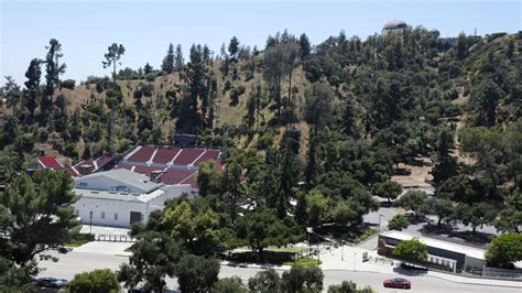 Falling tree injures 1, damages 30 cars in L.A. parking lot