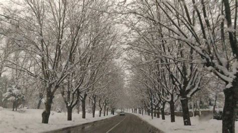 In Pictures: Glamorous View of Ifrane Under Snow