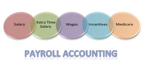 The Basics of Payroll Accounting for Your Small Business Paysquare