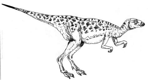 Othnielia Pictures & Facts - The Dinosaur Database