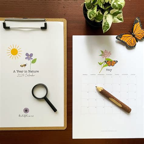 A Year in Nature - 2024 Calendar — Wildflowers