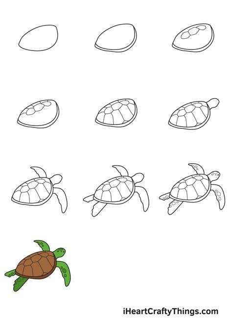 How to Draw a Sea Turtle – Step by Step Guide | Turtle drawing, Sea turtle drawing, Sea animals ...