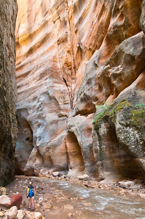 Virgin river narrows, Zion NP, UT | Небоскрёбы, небоскрёбы, … | Flickr