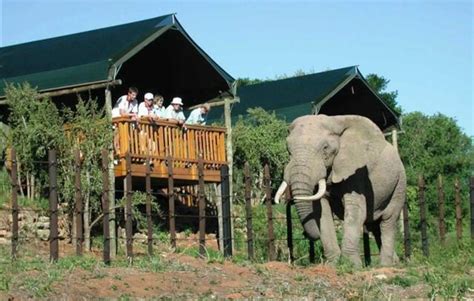 Addo Elephant National Park Accommodation - Addo Rest Camp