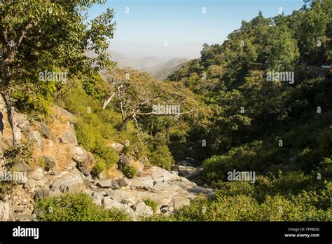 Boulders in the forests of Mount Abu Wildlife Sanctuary Stock Photo - Alamy