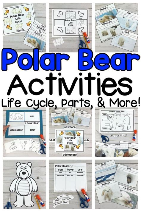 Polar Bear Activities | Polar bears activities, Winter activities for kids, Activities