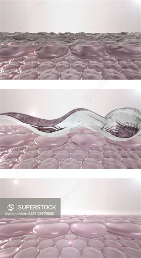 Skin dry dead cells are removed by peeling gel. 3D rendered illustration of skin fibers layers ...