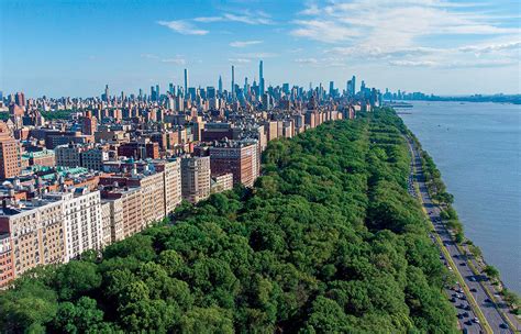 The Incredible Environmental Benefits of NYC Trees | Columbia Magazine