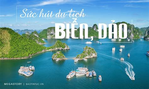 Sức hút du lịch biển, đảo | baotintuc.vn