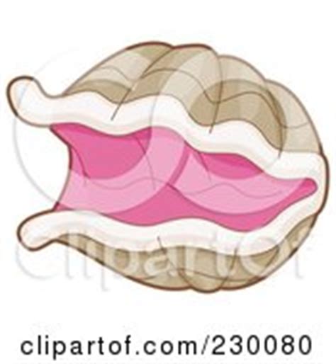 Royalty-Free (RF) Clipart Illustration of an Open Clam With A White Pearl by BNP Design Studio ...
