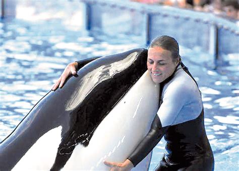 Whale that killed Dawn Brancheau dies at SeaWorld | News for Fenton, Linden, Holly MI | tctimes.com